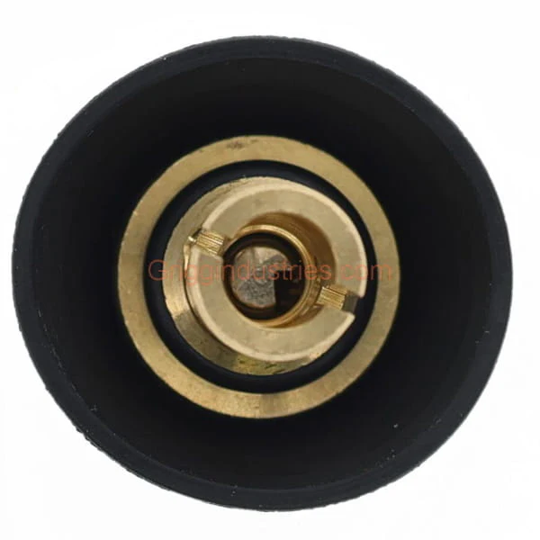 Arrowhead Brass ABP PK6026 Spring Less Check Assembly - Image 4