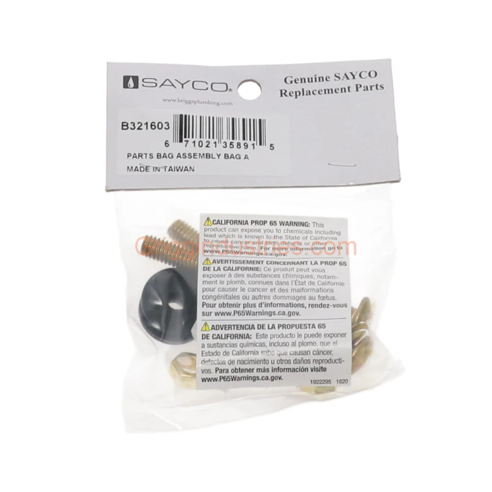 Briggs B321603 Parts Bag - Image 4