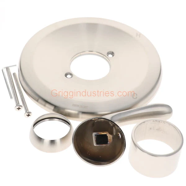 Briggs BT220BN Brushed Nickel Trim Kit - Image 3
