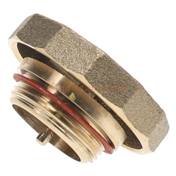 Champion RK-41C-100 1" Brass Anti-Siphon Cap - Image 3