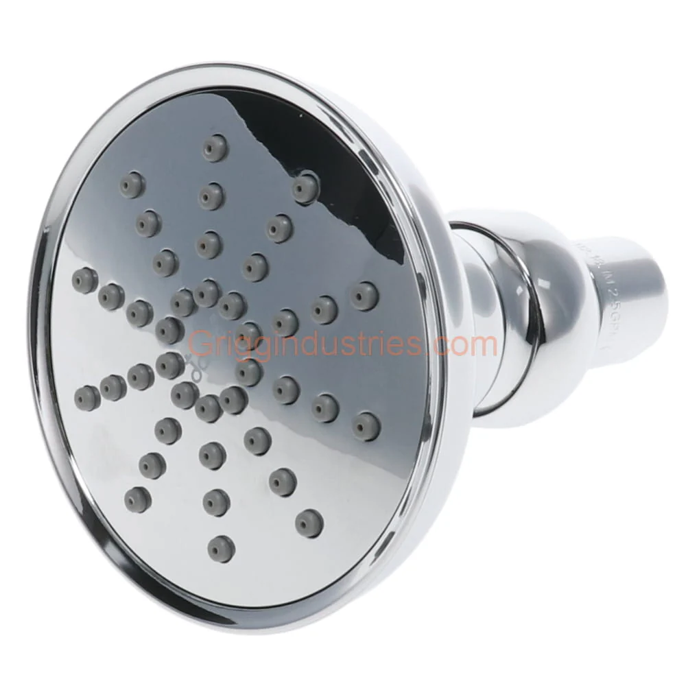 Danze S1215G03 Chrome Shower Head - Image 3
