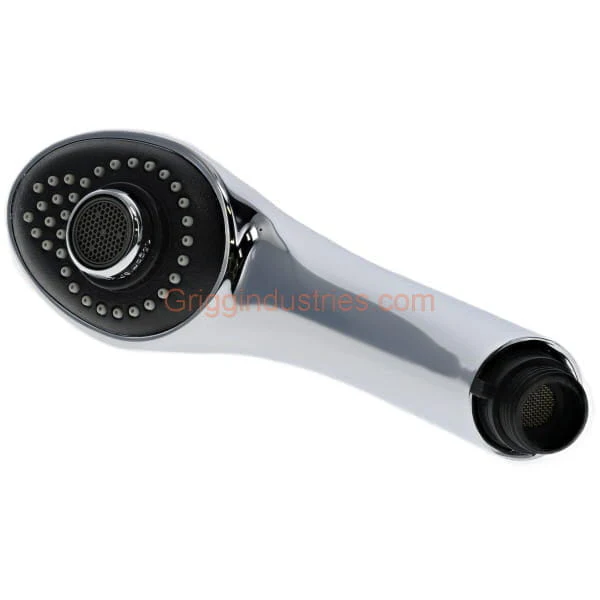 Water Ridge A523047NCP-51 Chrome Spray Head